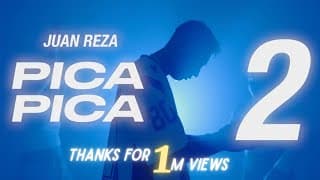 PICA PICA 2 -