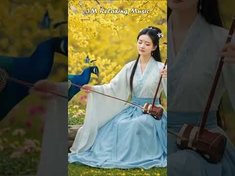 3M |🍃Chinese #RelaxingMusic #Guzheng #BambooFlute #Erhu #StressRelief #sadsong #shortvideos by 3M Relaxing Music - Album Art