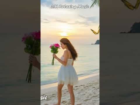 3M |🍃Chinese #RelaxingMusic #Guzheng #BambooFlute #Erhu #StressRelief #sadsong #shortvideos by 3M Relaxing Music - Album Art