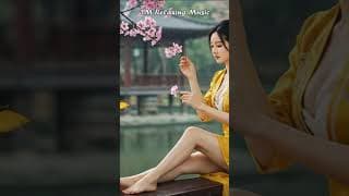 3M |🍃Chinese #RelaxingMusic #Guzheng #BambooFlute #Erhu #StressRelief #sadsong #shortvideos