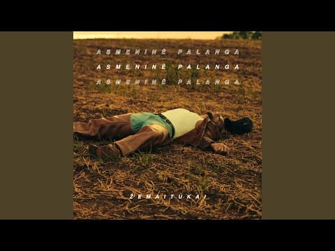 Asmeninė Palanga by Žemaitukai - Album Art