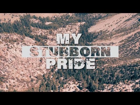 Zac Brown Band / / Stubborn Pride / / by Alchemivision - Album Art