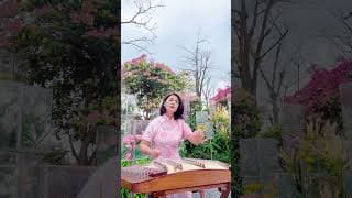 民樂傳情，你感受到了嗎？《盼情郎》#大陸歌 #民乐 # #chinesemusic #cover #love #音樂 #china #sleepmusic