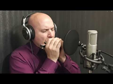 Noćni Bluz/Night Blues - Zoran Filipović ZOTA by Zoran Filipovic - Album Art