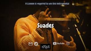 SUADES - Tems ft Serotonin Type Beat | Alte - Afrobeat Instrumental 2025