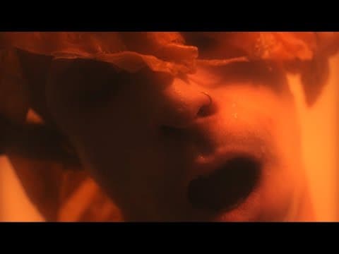 Ciepłe Brejki ft luca novicci - Sauna by Warner Music Poland - Album Art