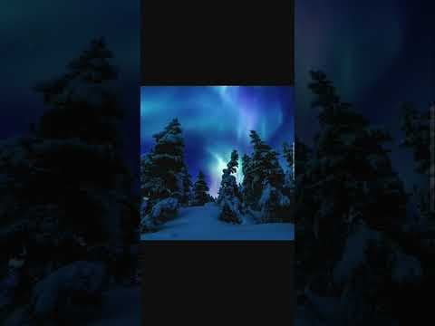 Manasha #phonk#brazilian phonk#phonk short#phonk #aero PHONK 16/6/25 by AERO PHONK,S - Album Art