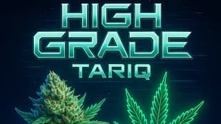 TariQ - Highgrade - DiGiTΔL RiLeY™
