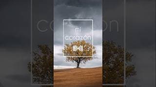 Mi corazón -