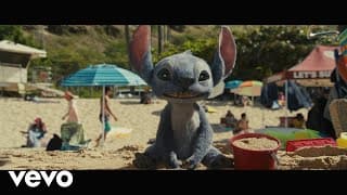 Hawaiian Roller Coaster Ride