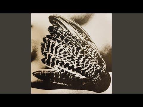 Marina by Rocco Granata - Album Art