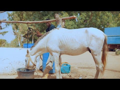 Mbodula by An2 Adi Sparky - Album Art