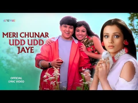 Meri Chunar Udd Udd Jaye (Aggressive Mix) by Falguni Pathak - Album Art