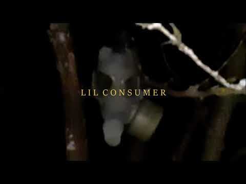 Lil Consumer - Vegan Bat Burger by Jan Brišar - Album Art