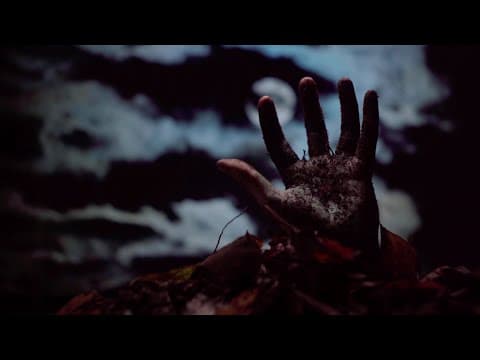 THE KING IS DEAD | #NEW #TRANCE # by Robert Vadney - Album Art