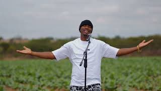 Tagwadama Visualizer