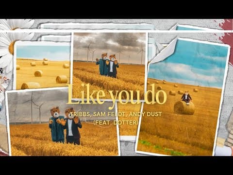 Like You Do by Tribbs - Album Art