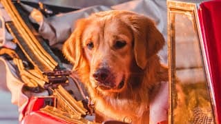 Come Inside Of My Heart