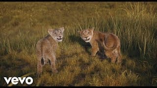 I Always Wanted A Brother