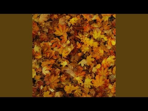 Freaks And Geeks by Childish Gambino - Topic - Album Art