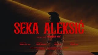 Seka Aleksic - Otrovnica Mix |
