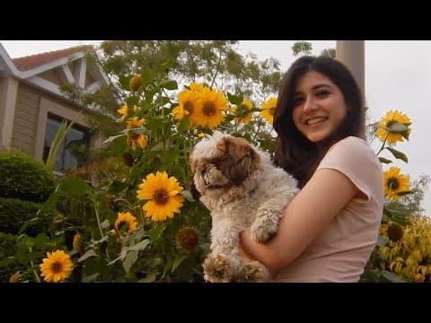 Iraaday by Rovalio - Album Art