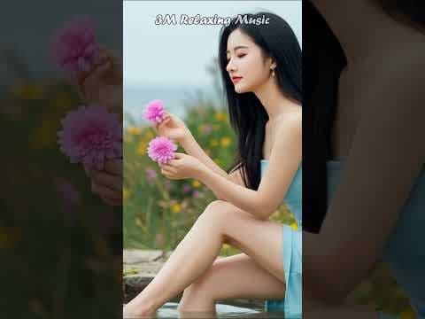3M |🍃Chinese #RelaxingMusic #Guzheng #BambooFlute #Erhu #StressRelief #sadsong #shortvideos by 3M Relaxing Music - Album Art