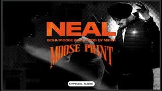 NEAL | Latest Punjabi Songs 2025