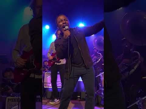 Guests on Guests — More Local Artists Joining the Tour!#chestfever #shorts by Chest Fever - Album Art