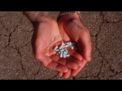 Run For Your Death (More Pills) by Highly Suspect - Album Art