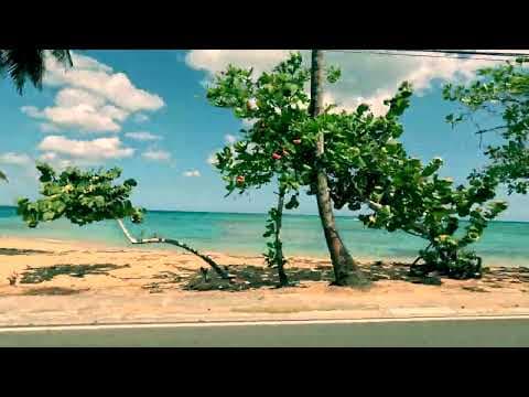 Ready For The Sunshine by Ultramar Echos - Album Art