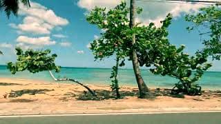 Ready For The Sunshine