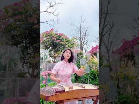 民樂傳情,你感受到了嗎?《盼情郎》#大陸歌 #民乐 # #chinesemusic #cover #love #音樂 #china #sleepmusic by 中国民乐集锦Chinese folk music - Album Art