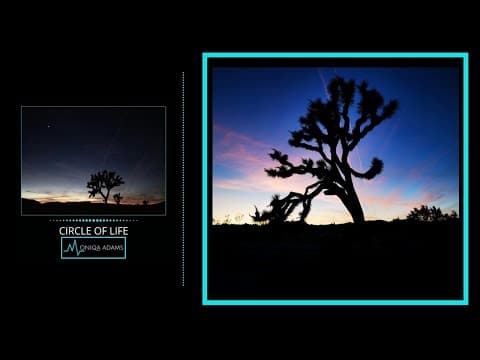 Circle of Life / NEW TRANCE 2021 by Moniqa Adams - Album Art