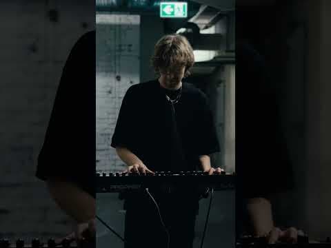 Beifer - Anemoia out now #electronicmusic #producer # #rev2 #newmusic #synth #electronic by Sebastian Pfeifer - Album Art