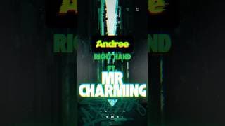 Mr Charming #housemusic #newmusic #djremix #techno #techhouse #dj