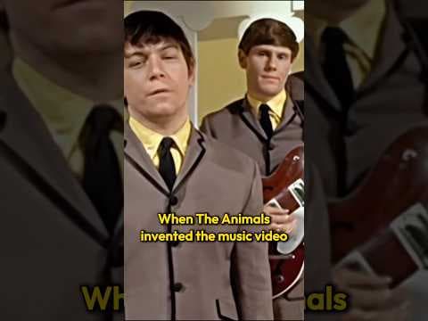 The Animals' iconic House of the Rising Sun video changed music #rock #1960s by The Animals' iconic House of the Rising Sun video changed music #rock #1960s - Album Art