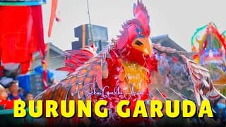 Burung Garuda