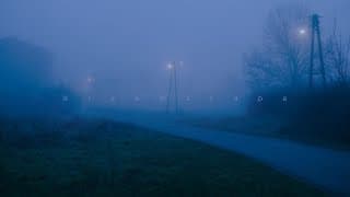 hope to see you again