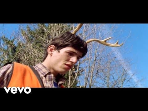 Sugar, We're Goin Down by Fall Out Boy - Album Art