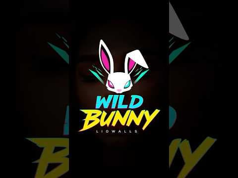 WILD BUNNY by LIOWALLS - Album Art