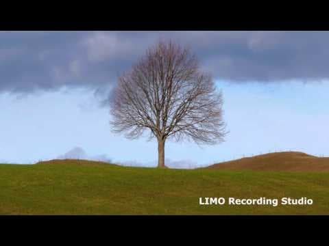 YouTube by Unknown Channel - Album Art