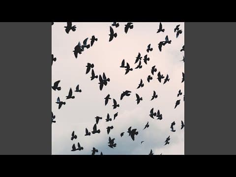 YouTube by Unknown Channel - Album Art