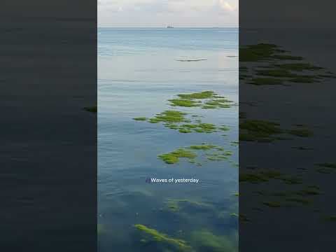 YouTube by Unknown Channel - Album Art