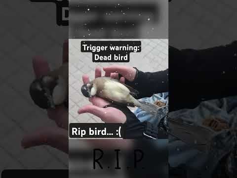 YouTube by Unknown Channel - Album Art