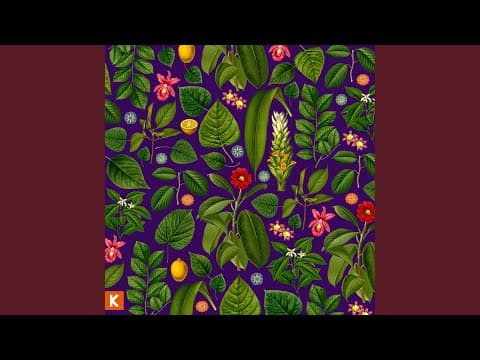 YouTube by Unknown Channel - Album Art