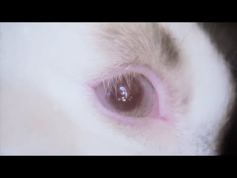 YouTube by Unknown Channel - Album Art