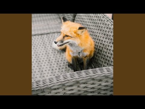 YouTube by Unknown Channel - Album Art