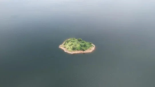 Smaller Dynamic Island - Apple Unveils ‘Smaller Dynamic Island,’ Consumers Squint Harder