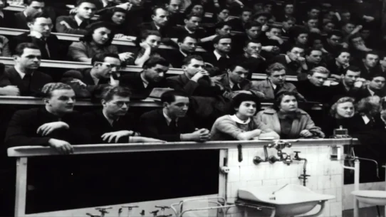 Blonde On Blonde covers - Blonde On Blonde Covers Transport Audience to 1966, Most Unprepared